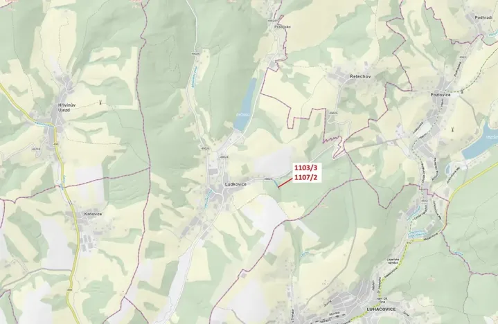 Dražba lesa, Ludkovice, 3392 m2