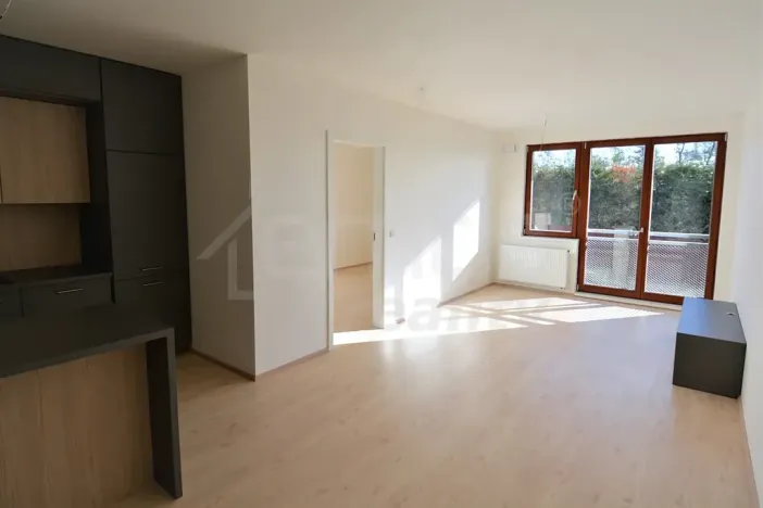 Pronájem bytu 2+kk, Praha, Davídkova, 64 m2