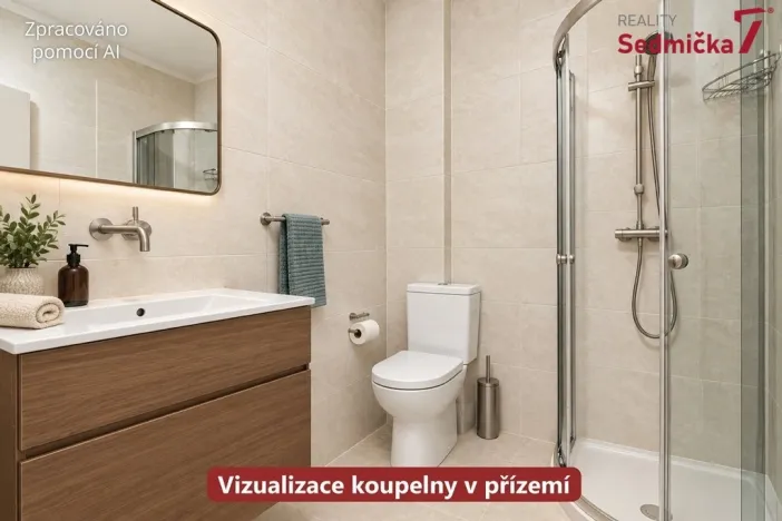 Prodej rodinného domu, Únanov, 300 m2