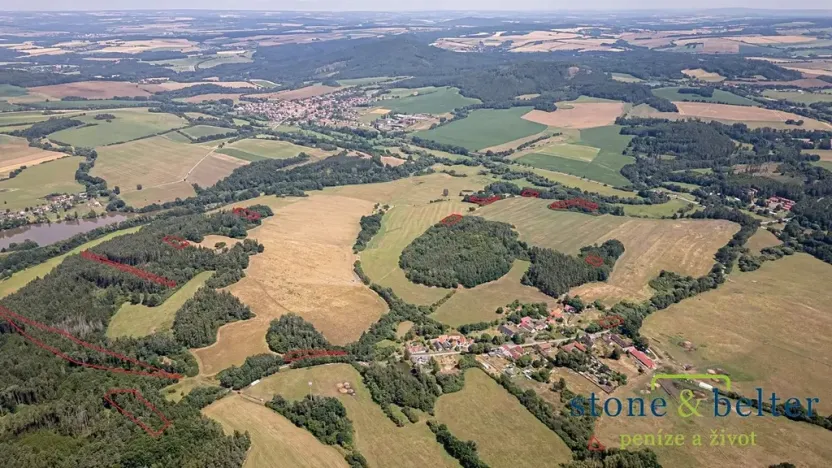 Prodej lesa, Zvěstov, 45954 m2