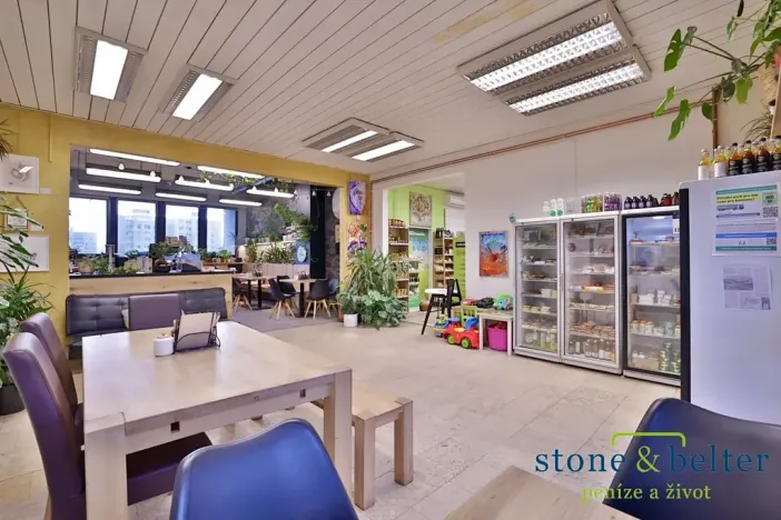 Pronájem obchodního prostoru, Praha - Troja, Lodžská, 254 m2