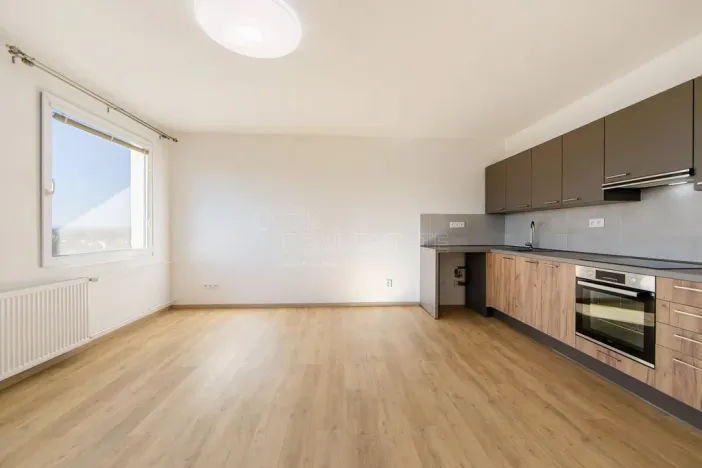 Pronájem bytu 1+kk, Planá, Bohušova, 31 m2