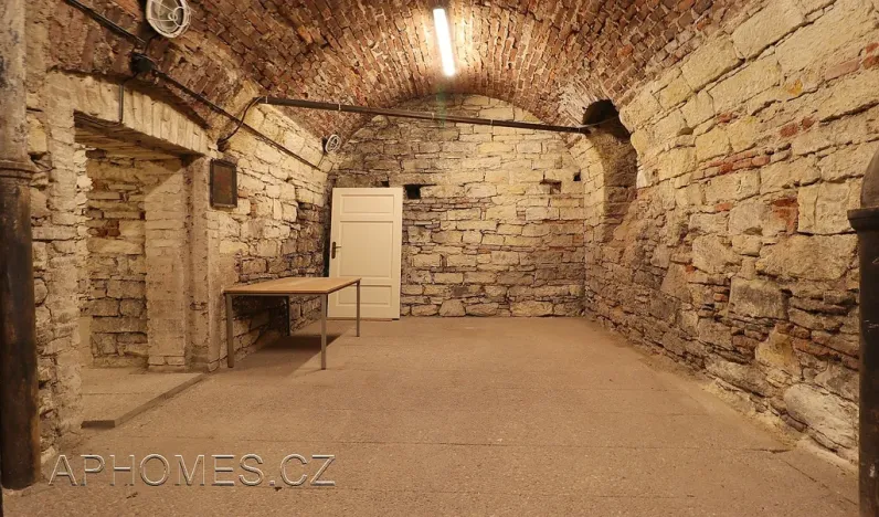 Pronájem skladu, Praha - Nové Město, Opatovická, 60 m2