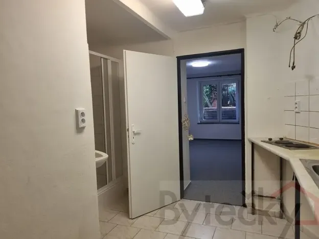 Pronájem bytu 1+1, Praha - Strašnice, Srbínská, 24 m2