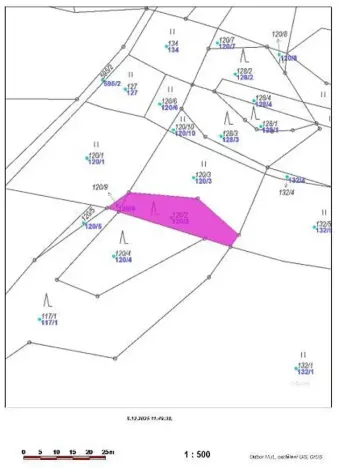 Prodej lesa, Nemile, 323 m2