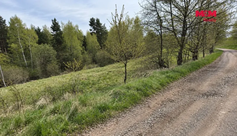 Prodej pozemku, Lipová - Mýtina, 19037 m2