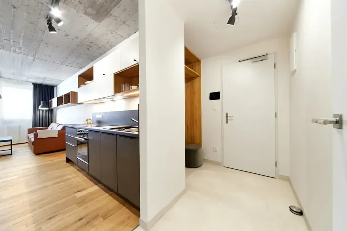 Pronájem bytu 2+kk, Brno, Cejl, 48 m2