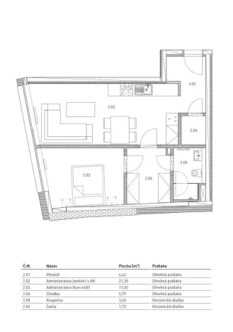 Pronájem bytu 2+kk, Brno, Cejl, 48 m2