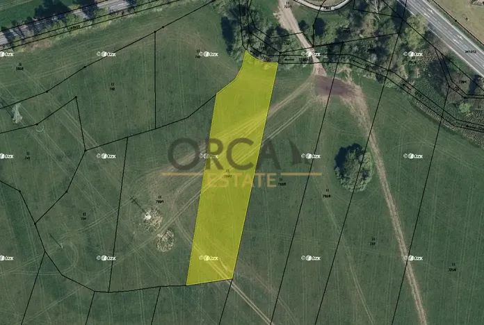 Prodej pozemku, 4201 m², Třebechovice pod Orebem