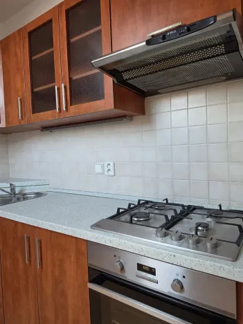 Pronájem bytu 2+kk, Plzeň, Malická, 61 m2