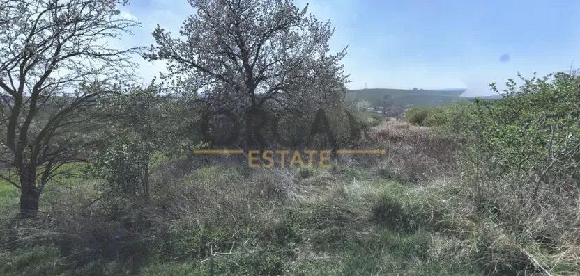 Prodej sadu/vinice, Hýsly, 1503 m2