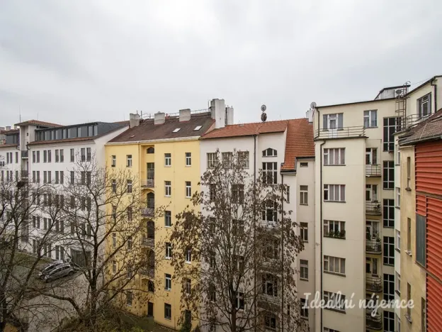 Pronájem bytu 2+1, Praha - Vinohrady, Jagellonská, 75 m2