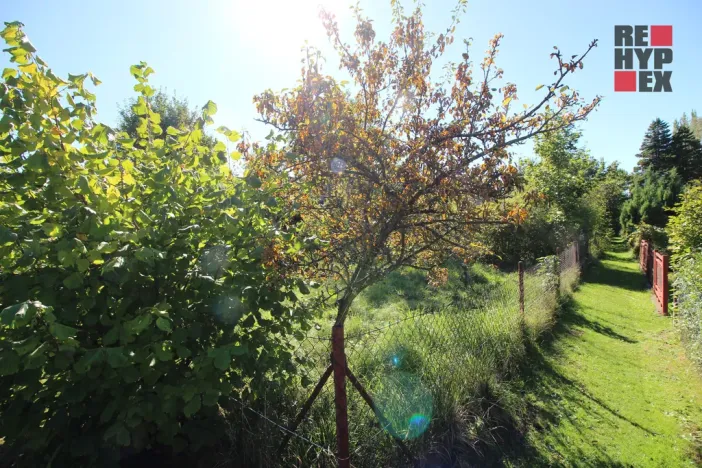 Prodej zahrady, Nové Město pod Smrkem, Husova, 468 m2