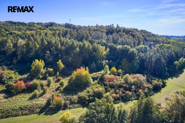 Prodej lesa, Račice nad Trotinou, 31440 m2