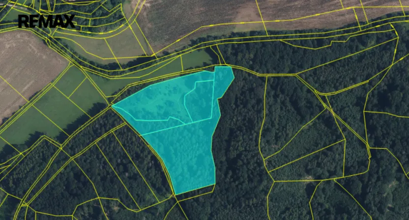 Prodej lesa, Račice nad Trotinou, 31440 m2