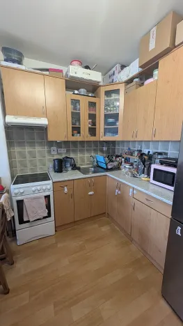 Pronájem bytu 2+kk, Brno, Zderadova, 50 m2