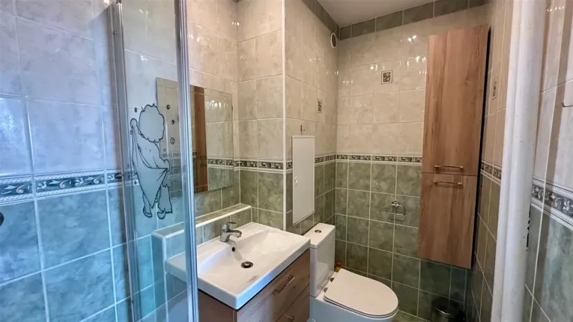 Pronájem bytu 3+1, Habartov, Karla Čapka, 69 m2