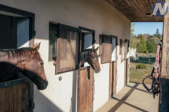 Prodej zemědělské usedlosti, Stříbro, 200 m2