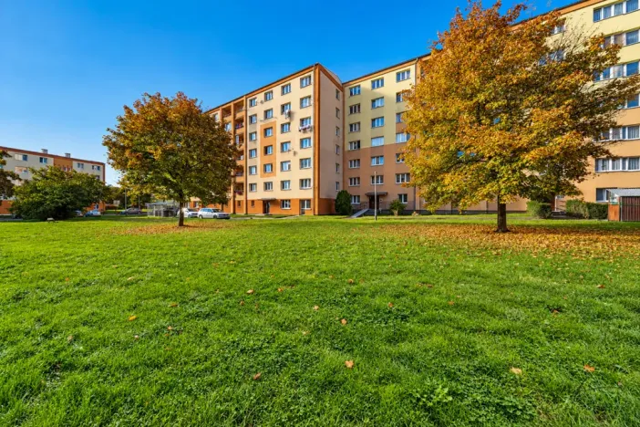 Prodej bytu 2+1, Chodov, Vítězná, 54 m2