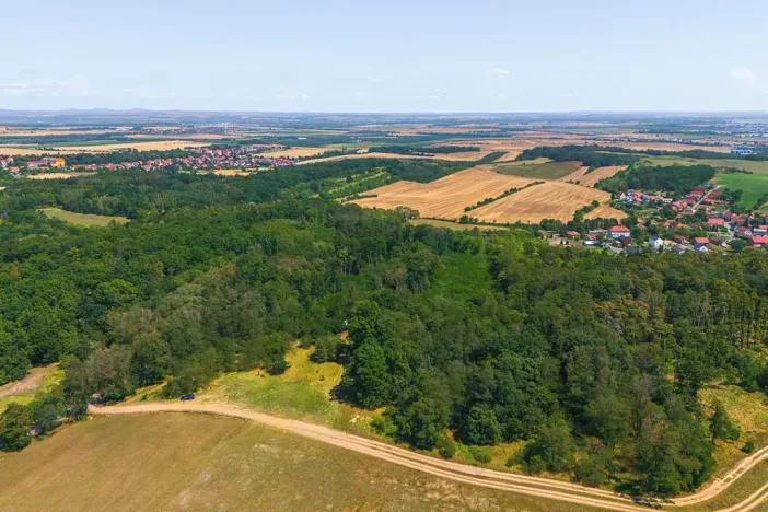 Prodej lesa, Jeviněves, 2859 m2