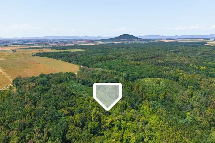 Prodej lesa, Jeviněves, 2859 m2