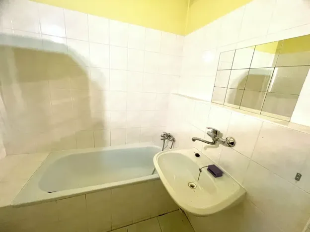 Prodej rodinného domu, Němčice nad Hanou, 190 m2