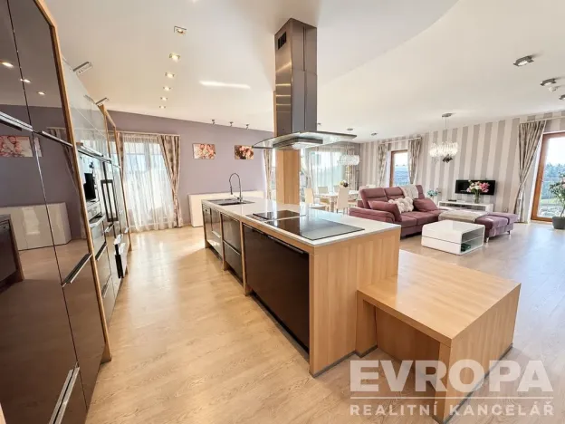 Pronájem bytu 3+kk, Plzeň - Jižní Předměstí, U Borského parku, 153 m2