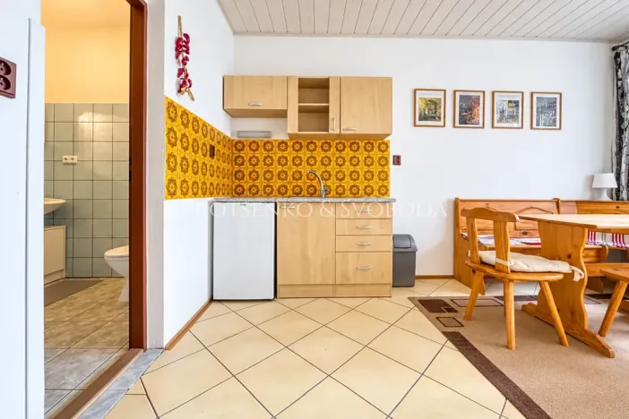 Prodej ubytování, Strachotín, Sklepní, 285 m2