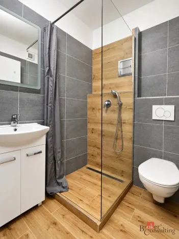 Pronájem bytu 1+1, Dolní Benešov, Osada míru, 32 m2