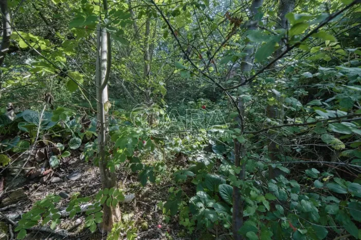 Prodej pozemku pro bydlení, Statenice, Nad Strání, 924 m2