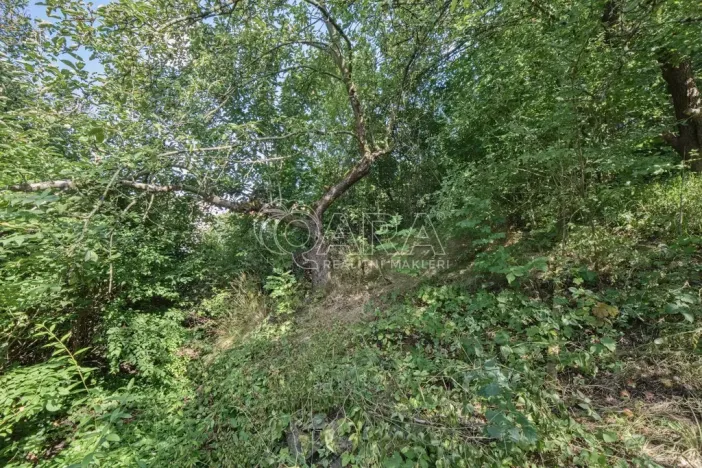 Prodej pozemku pro bydlení, Statenice, Nad Strání, 924 m2