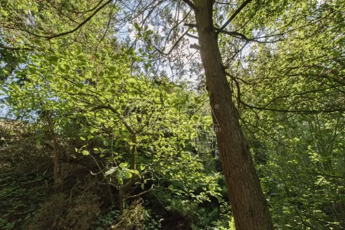 Prodej pozemku pro bydlení, Statenice, Topolová, 354 m2