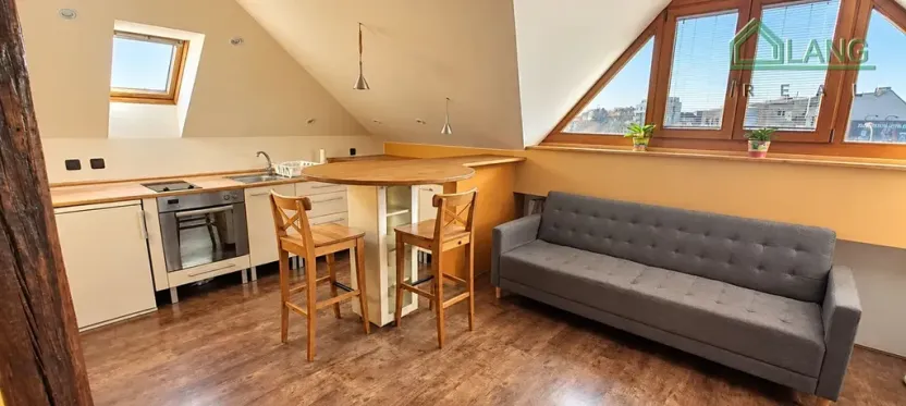 Pronájem bytu 1+kk, Brno, Kohoutova, 50 m2