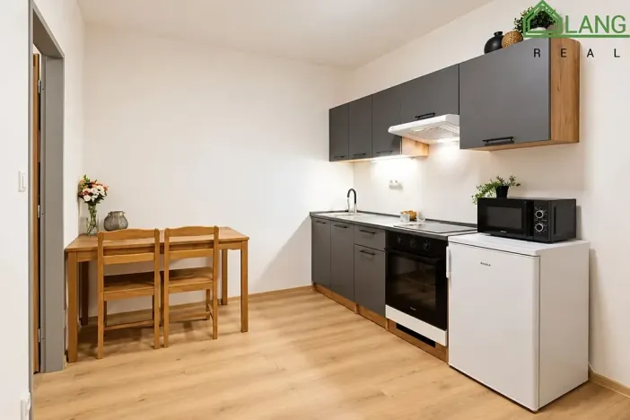 Pronájem bytu 1+kk, Brno, Francouzská, 31 m2