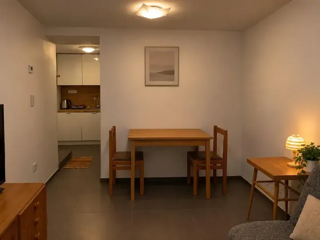 Prodej bytu 1+kk, Brno, Letní, 20 m2
