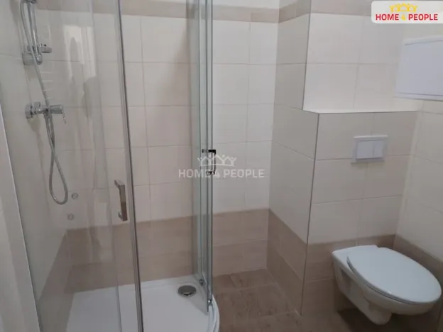 Pronájem bytu 1+kk, Milovice - Mladá, Slepá, 37 m2
