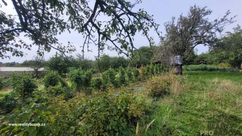 Prodej vícegeneračního domu, Troubky-Zdislavice, 305 m2