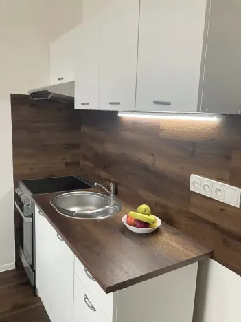 Prodej bytu 1+1, Chomutov, 17. listopadu, 36 m2