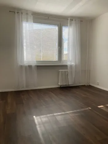 Prodej bytu 1+1, Chomutov, 17. listopadu, 36 m2