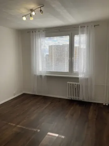 Prodej bytu 1+1, Chomutov, 17. listopadu, 36 m2