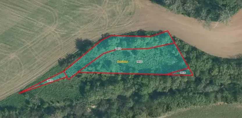 Prodej louky, Horní Slivno, 1353 m2