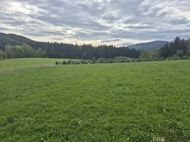 Prodej pozemku pro bydlení, Písek, 1631 m2