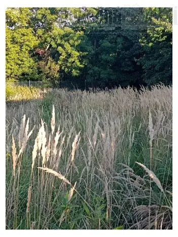 Prodej pozemku pro bydlení, Černošice, 1014 m2