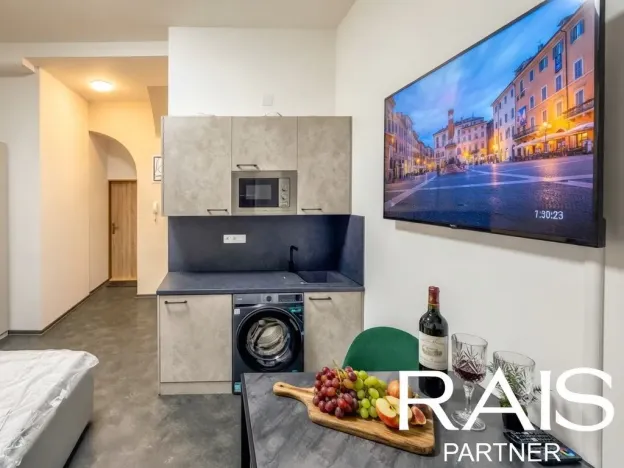 Pronájem bytu 1+kk, Brno - Brno-město, Bašty, 33 m2
