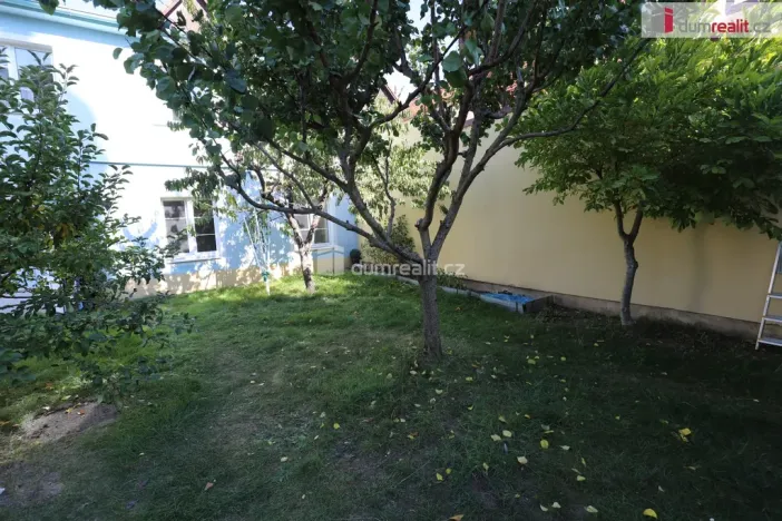 Pronájem bytu 1+1, Planá, náměstí Svobody, 40 m2