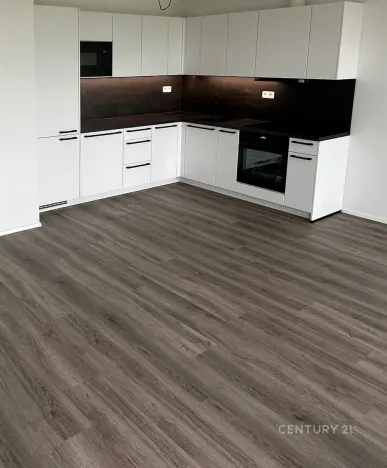 Pronájem bytu 2+kk, Plzeň, Františka Kováříka, 61 m2