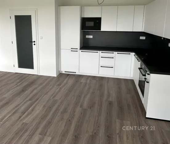Pronájem bytu 2+kk, Plzeň, Františka Kováříka, 61 m2