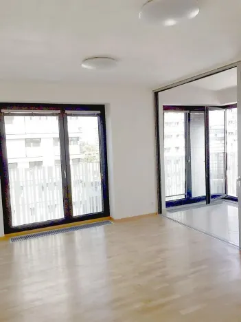 Pronájem bytu 2+kk, Praha - Žižkov, Olšanská, 61 m2