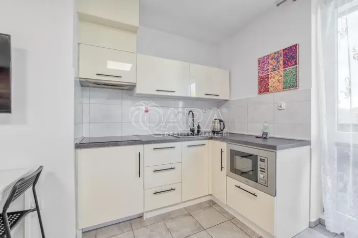 Pronájem bytu 1+kk, Trojanovice, 32 m2