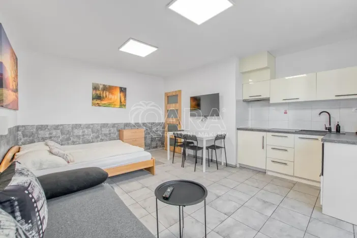 Pronájem bytu 1+kk, Trojanovice, 32 m2